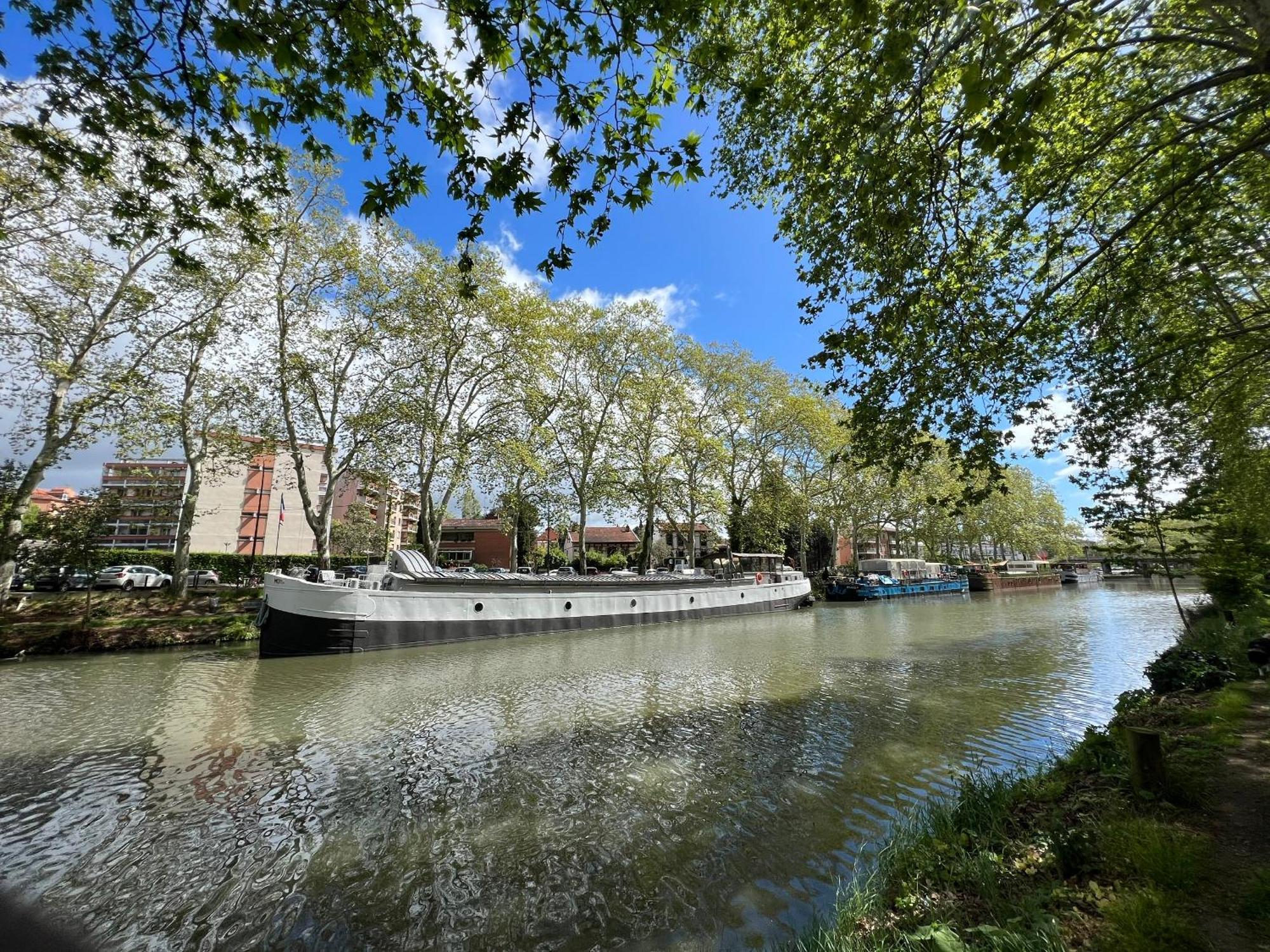 Sunset Duplex - Grand-Rond, Jardin Des Plantes, Centre-Ville, 2 Bdrs 60M2, Ac, Free Public Car Park 200M Away, Netflix - T3 60M2 Avec Clim, Parking Public Gratuit A 200M 툴루즈 외부 사진